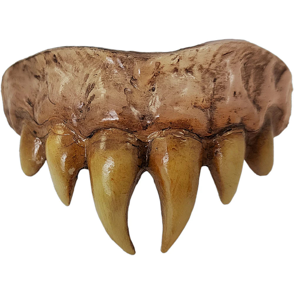 Bitemares Horror Teeth - Vampire Master