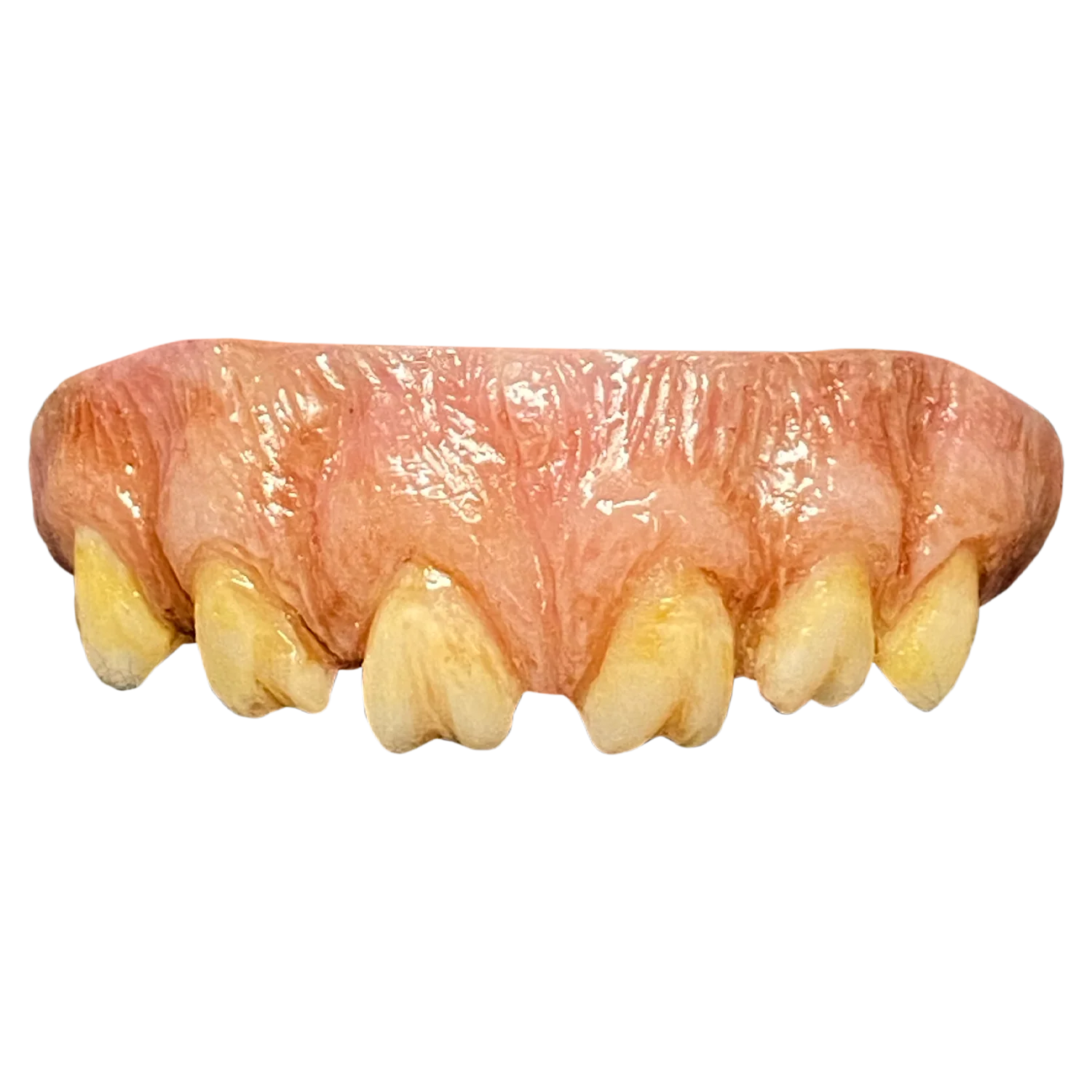 The Texas Chainsaw Massacre (1974) - Leatherface Teeth