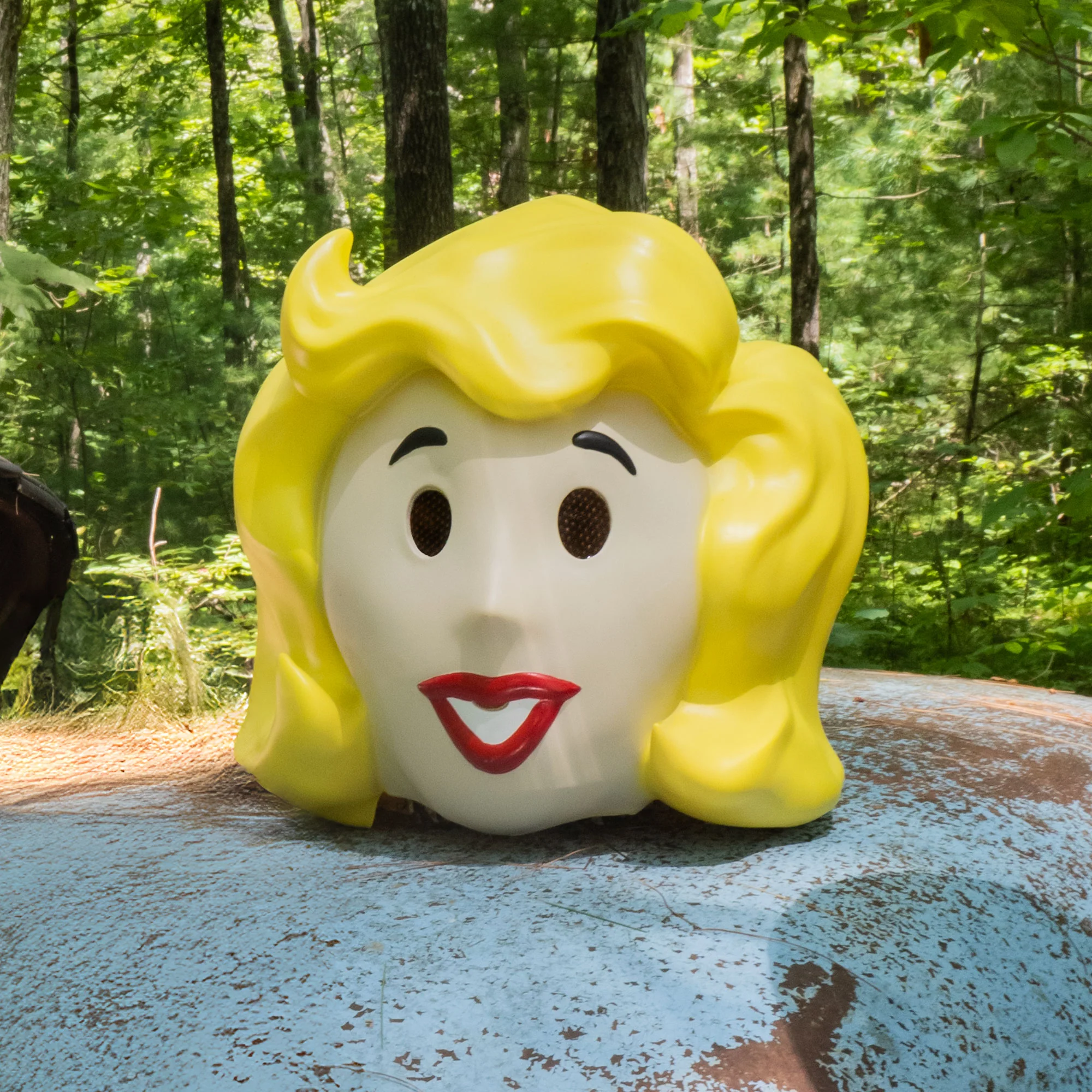 Fallout Vault Girl Bundle - Image 2