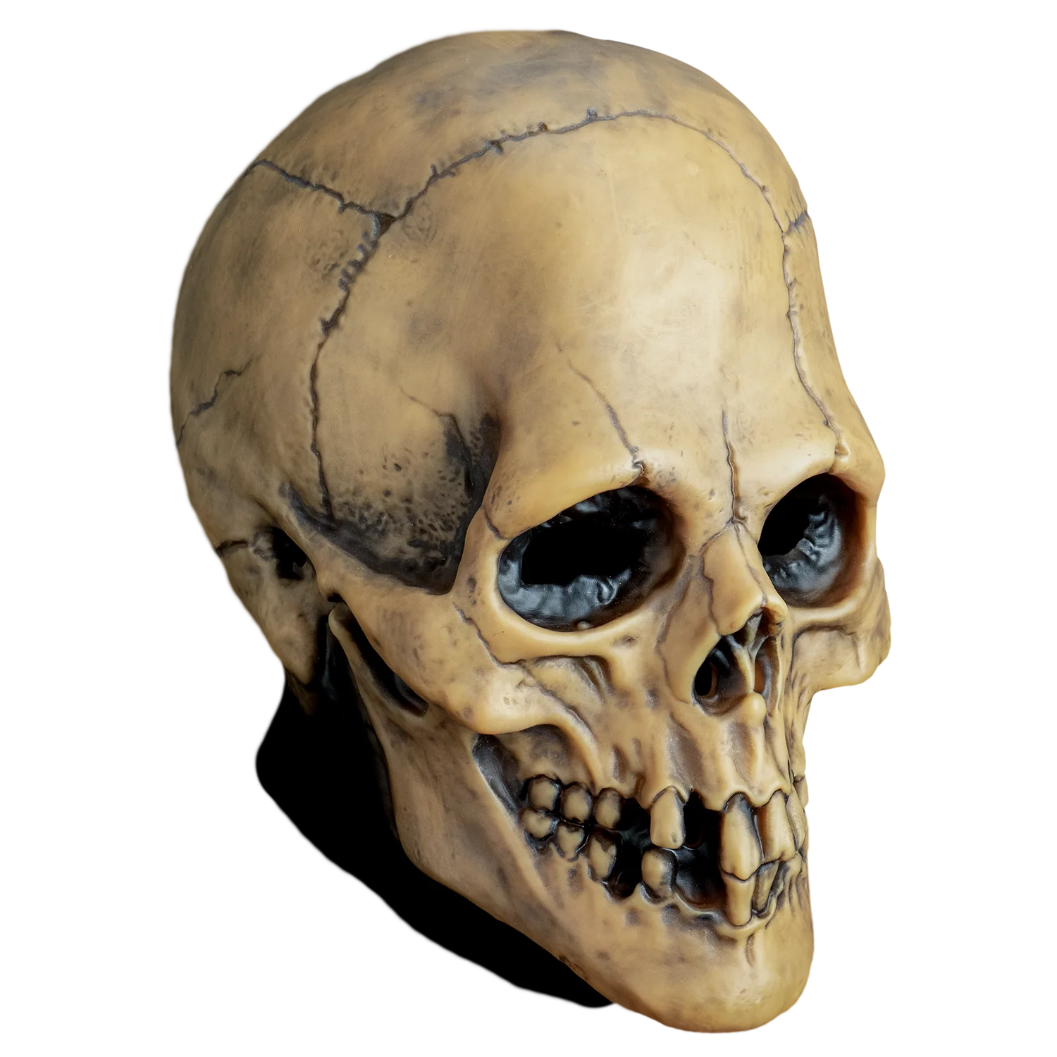 Mabry Monsters - Aged Voodoo Skull Mask (Vinyl) - Image 3