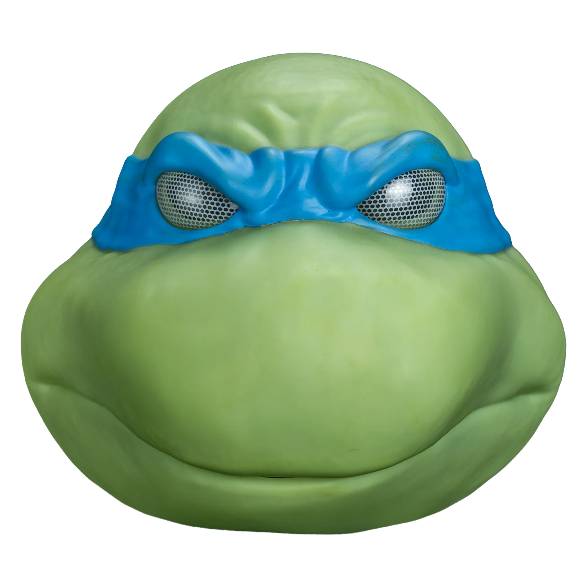 *PRE-ORDER* Teenage Mutant Ninja Turtles - Leonardo Mask