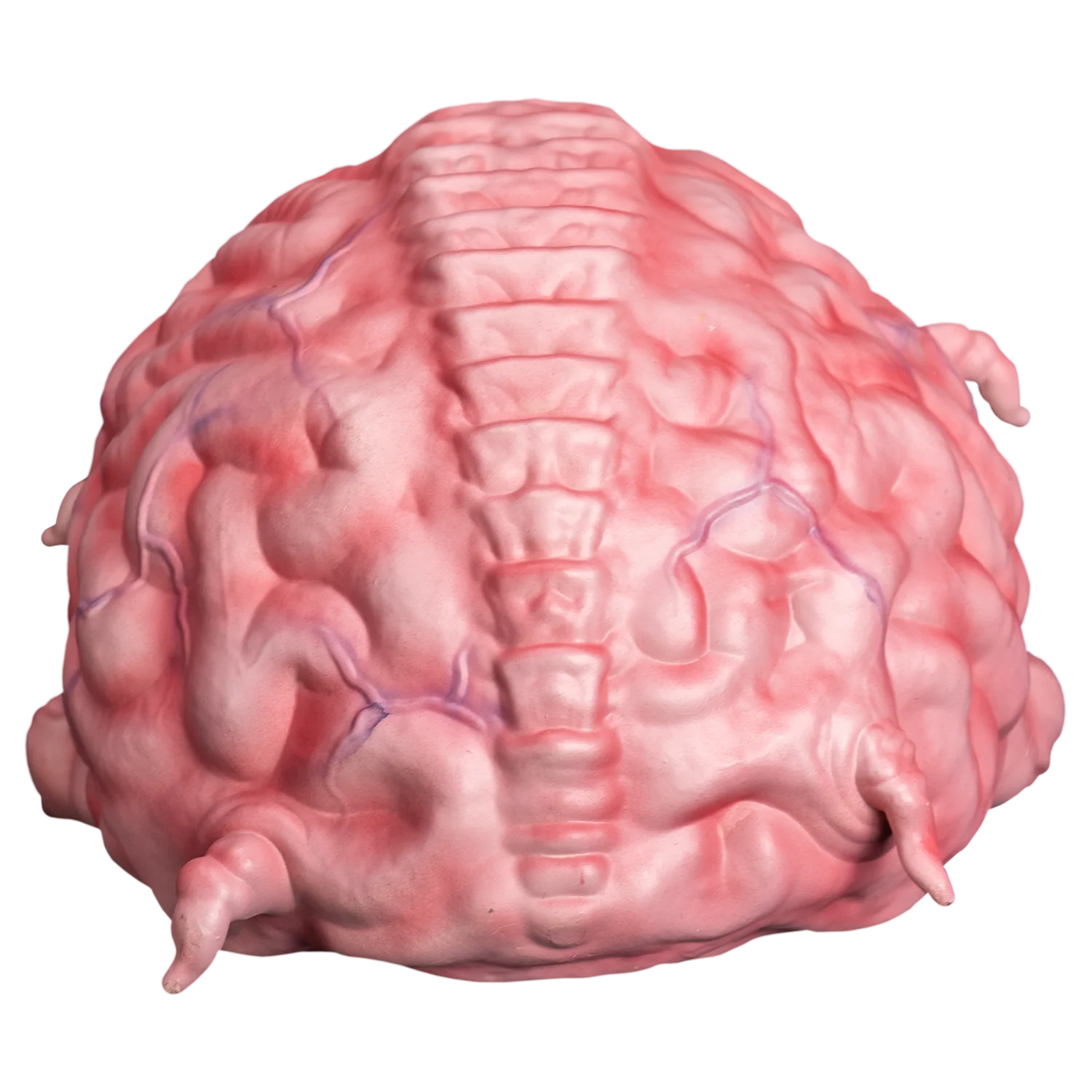 *PRE-ORDER* Teenage Mutant Ninja Turtles - Krang Prop - Image 4